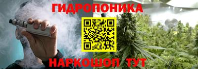 сатива Будённовск